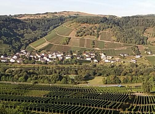 Gästehaus-Weingut Michael Scholer Schleich Exterior foto